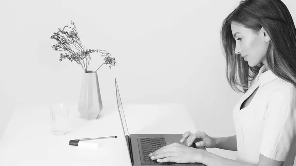 Charlie Chao consulting with an Auckland small business owner on their website strategy