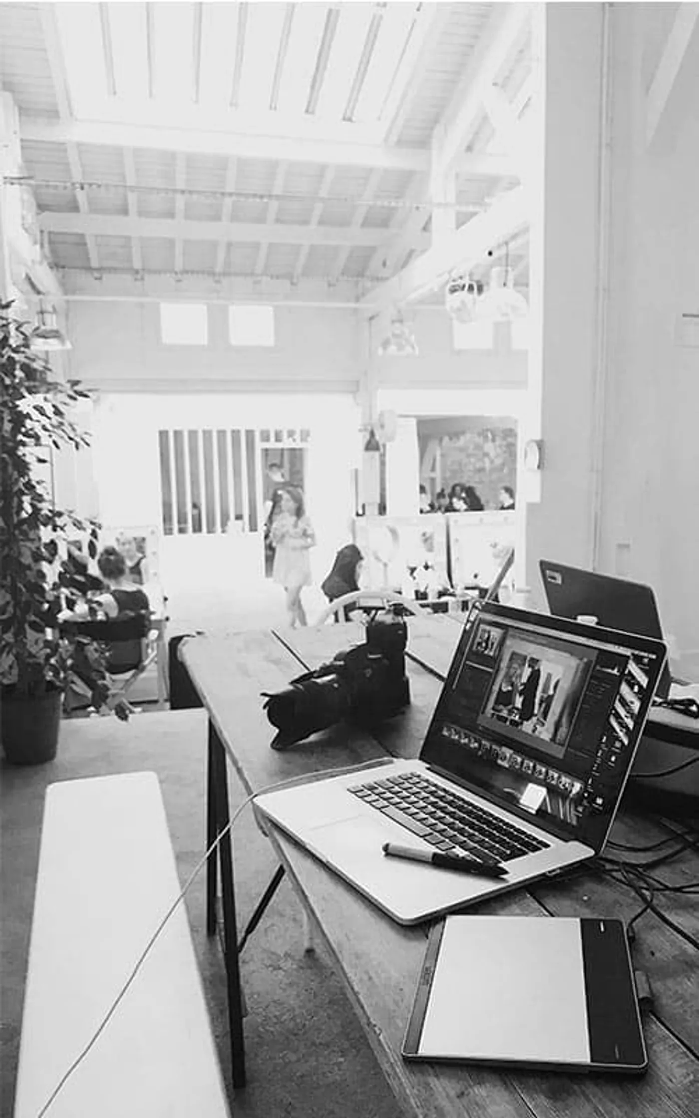 Kiwi Web Design Auckland — helping small businesses grow online