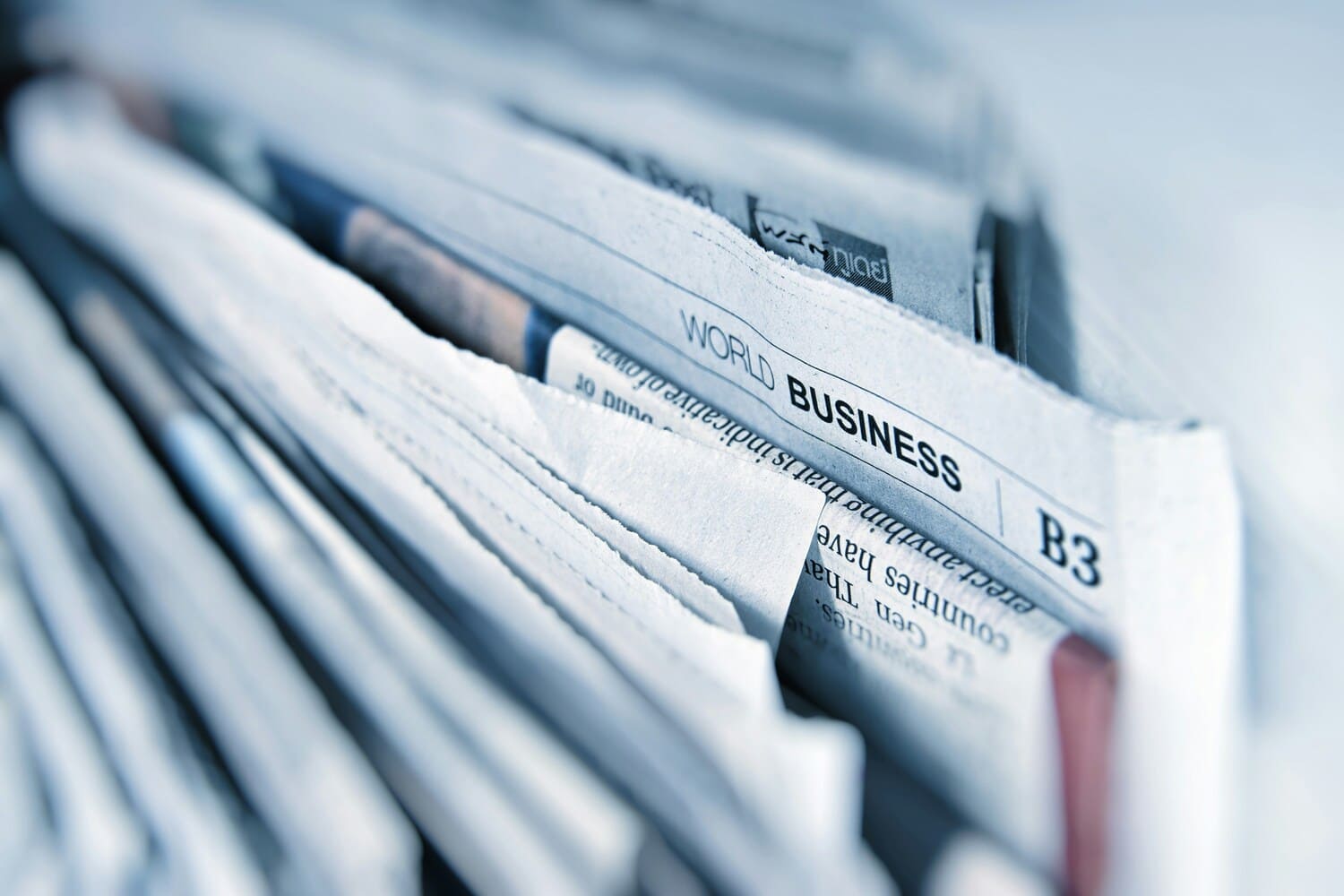 Kiwi Web Design press and public profile source register