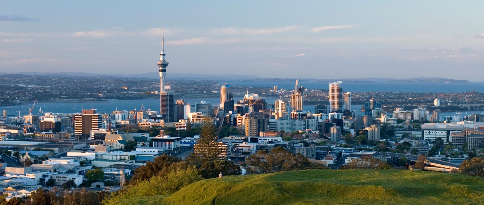 Kiwi Web Design consultation and support for Auckland website questions